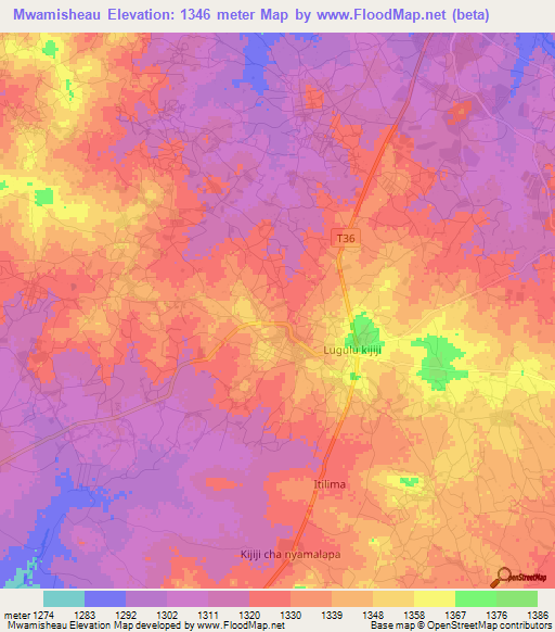 Mwamisheau,Tanzania Elevation Map