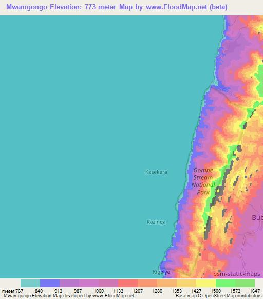 Mwamgongo,Tanzania Elevation Map