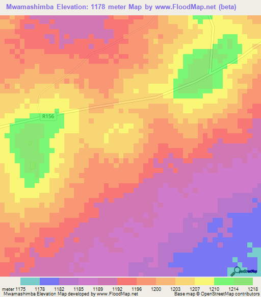 Mwamashimba,Tanzania Elevation Map