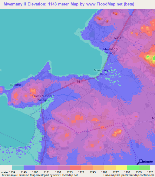 Mwamanyili,Tanzania Elevation Map