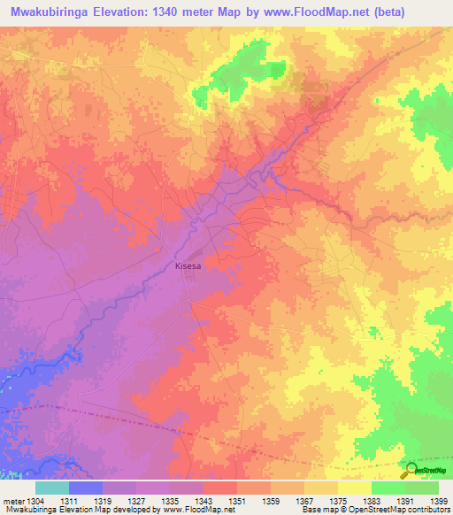 Mwakubiringa,Tanzania Elevation Map