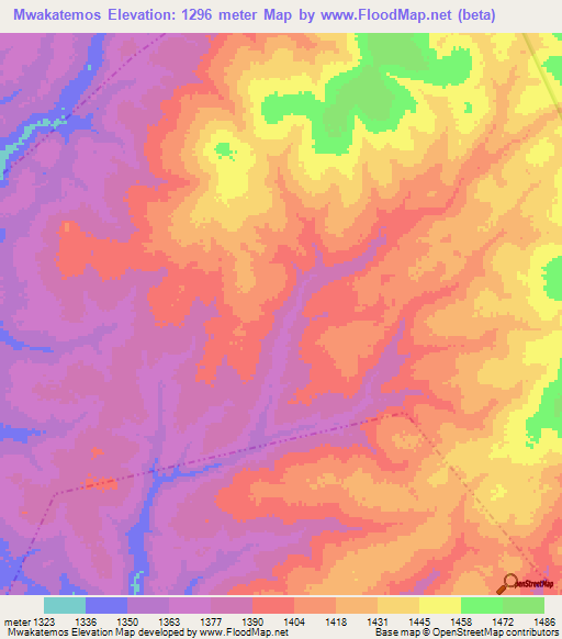 Mwakatemos,Tanzania Elevation Map