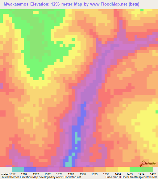 Mwakatemos,Tanzania Elevation Map