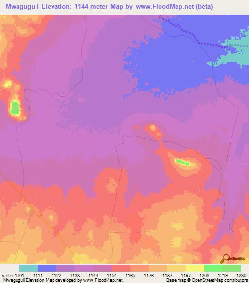 Mwaguguli,Tanzania Elevation Map