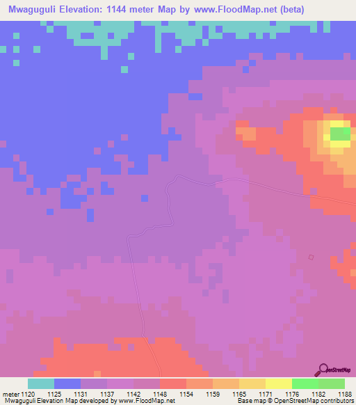 Mwaguguli,Tanzania Elevation Map