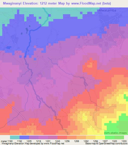 Mwaginanyi,Tanzania Elevation Map