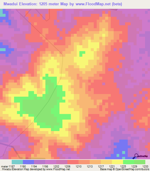 Mwadui,Tanzania Elevation Map