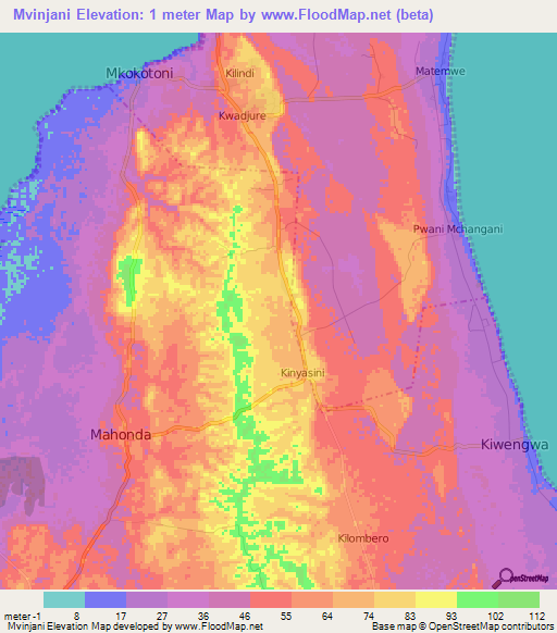 Mvinjani,Tanzania Elevation Map