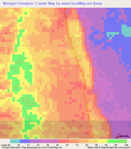 Mvinjani,Tanzania Elevation Map