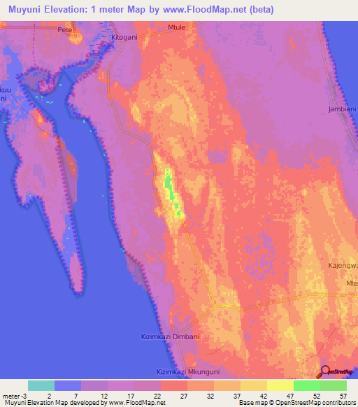 Muyuni,Tanzania Elevation Map