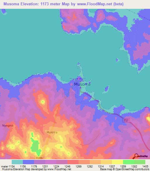 Musoma,Tanzania Elevation Map