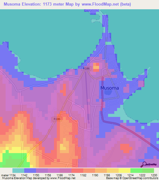 Musoma,Tanzania Elevation Map