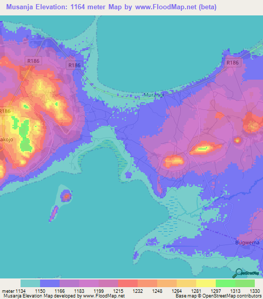 Musanja,Tanzania Elevation Map