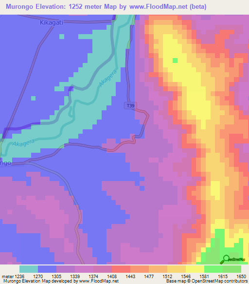 Murongo,Tanzania Elevation Map