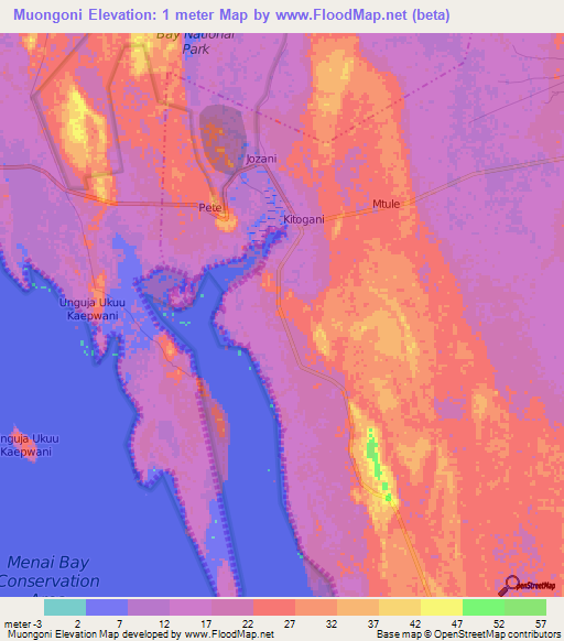 Muongoni,Tanzania Elevation Map