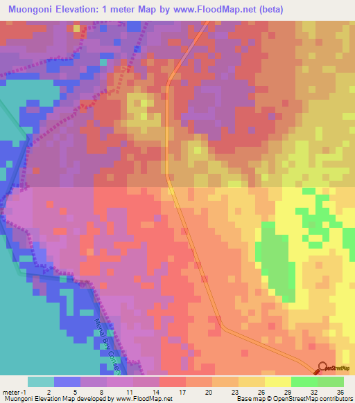 Muongoni,Tanzania Elevation Map