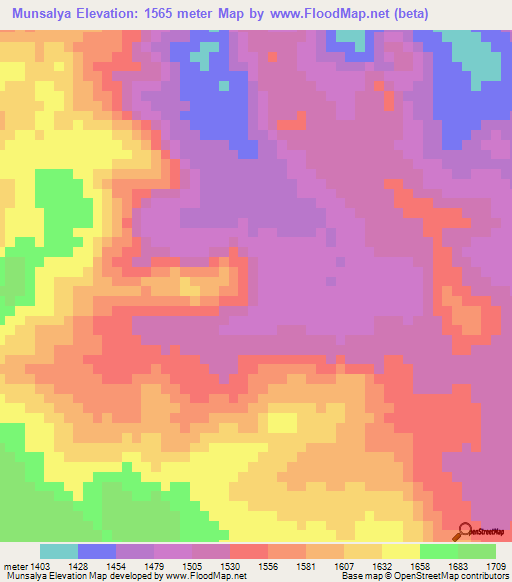 Munsalya,Tanzania Elevation Map