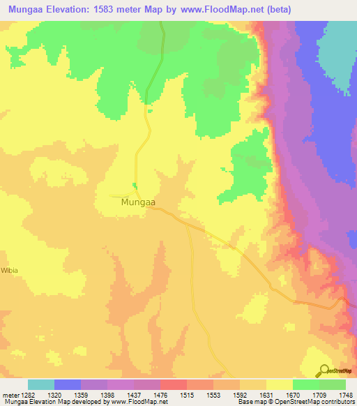 Mungaa,Tanzania Elevation Map