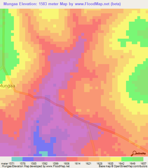 Mungaa,Tanzania Elevation Map