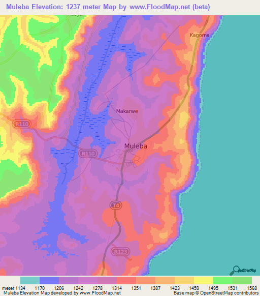 Muleba,Tanzania Elevation Map