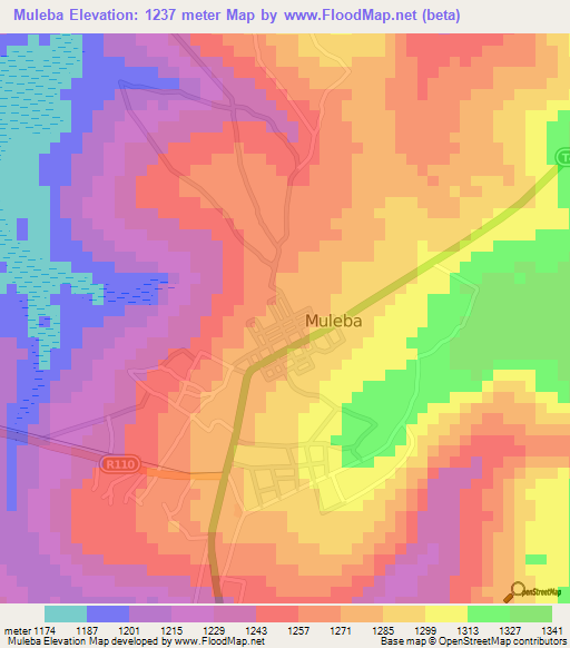 Muleba,Tanzania Elevation Map