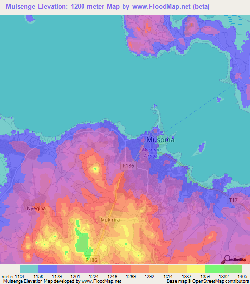 Muisenge,Tanzania Elevation Map