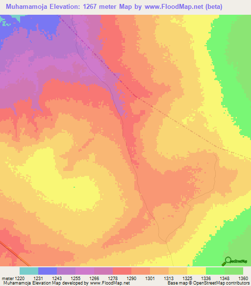 Muhamamoja,Tanzania Elevation Map