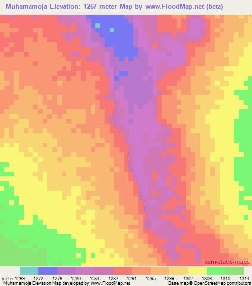 Muhamamoja,Tanzania Elevation Map