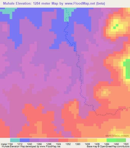 Muhale,Tanzania Elevation Map