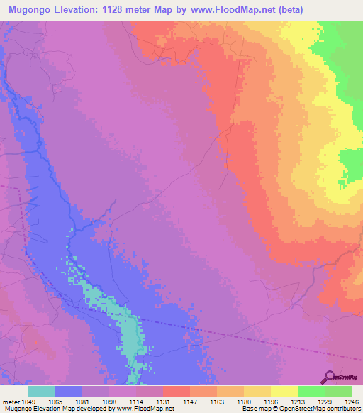 Mugongo,Tanzania Elevation Map