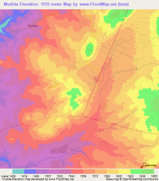 Mudida,Tanzania Elevation Map