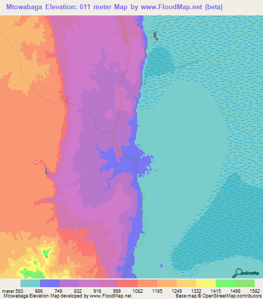 Mtowabaga,Tanzania Elevation Map