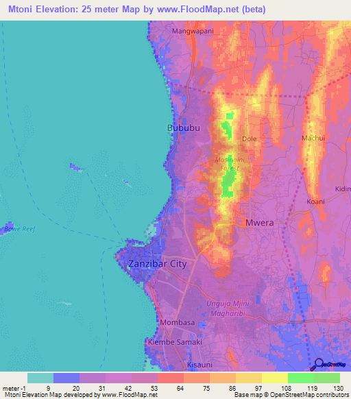 Mtoni,Tanzania Elevation Map