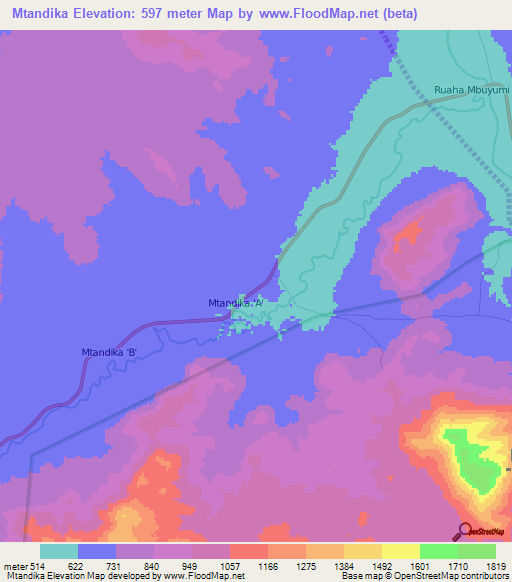 Mtandika,Tanzania Elevation Map