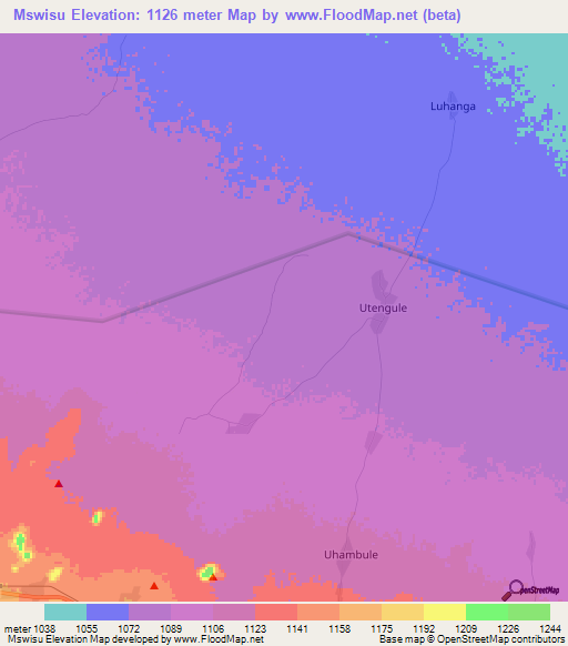 Mswisu,Tanzania Elevation Map