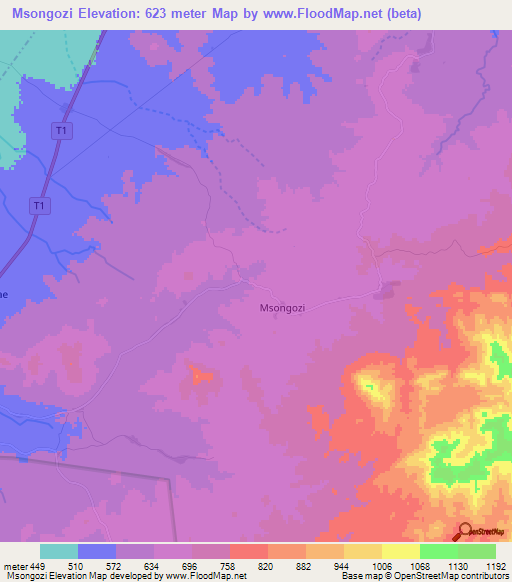 Msongozi,Tanzania Elevation Map