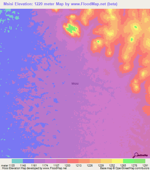 Msisi,Tanzania Elevation Map