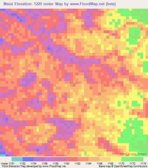 Msisi,Tanzania Elevation Map