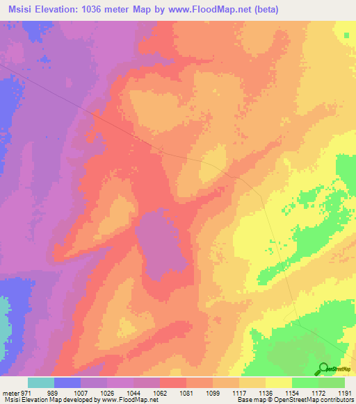 Msisi,Tanzania Elevation Map