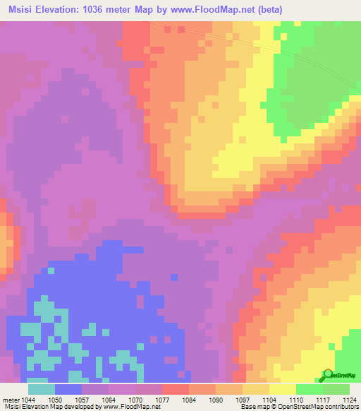 Msisi,Tanzania Elevation Map