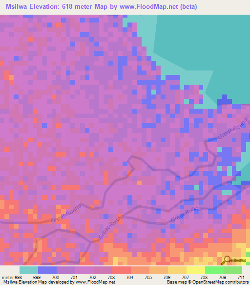 Msilwa,Tanzania Elevation Map