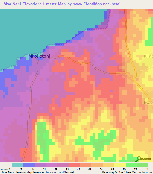 Msa Nani,Tanzania Elevation Map