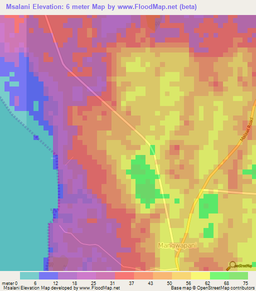 Msalani,Tanzania Elevation Map