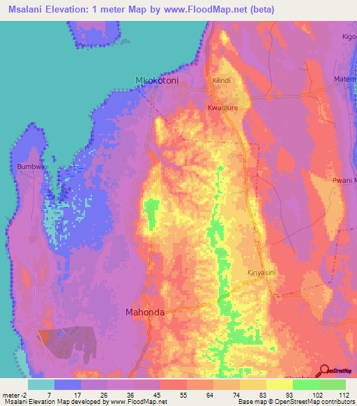 Msalani,Tanzania Elevation Map