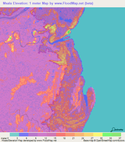 Msala,Tanzania Elevation Map