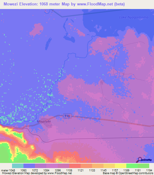 Mowezi,Tanzania Elevation Map