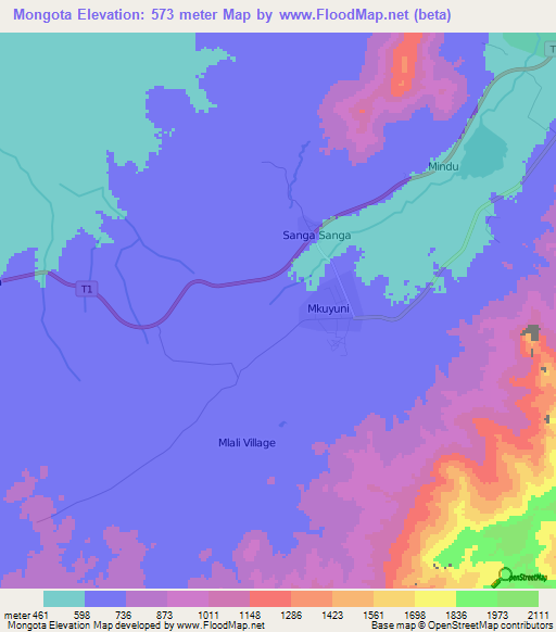 Mongota,Tanzania Elevation Map