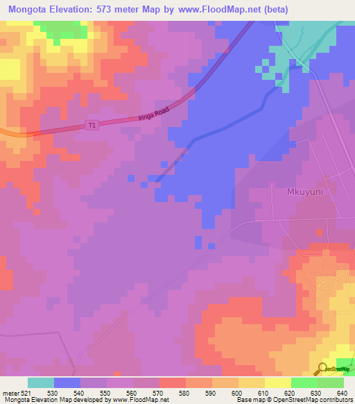 Mongota,Tanzania Elevation Map