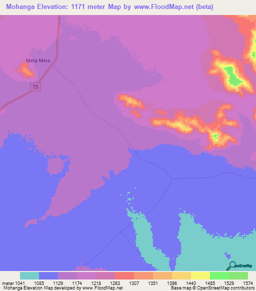 Mohanga,Tanzania Elevation Map