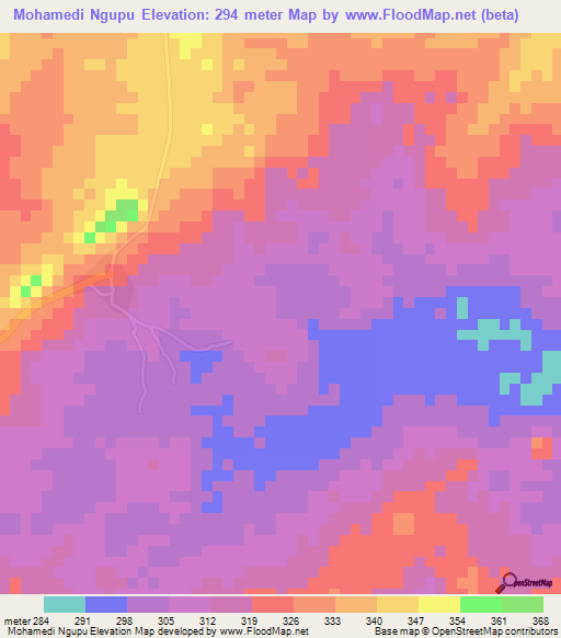 Mohamedi Ngupu,Tanzania Elevation Map